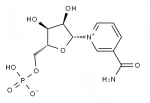 NMN Powder: Boost NAD⁺ for Anti-Aging, Energy & Cellular Health - Image 2